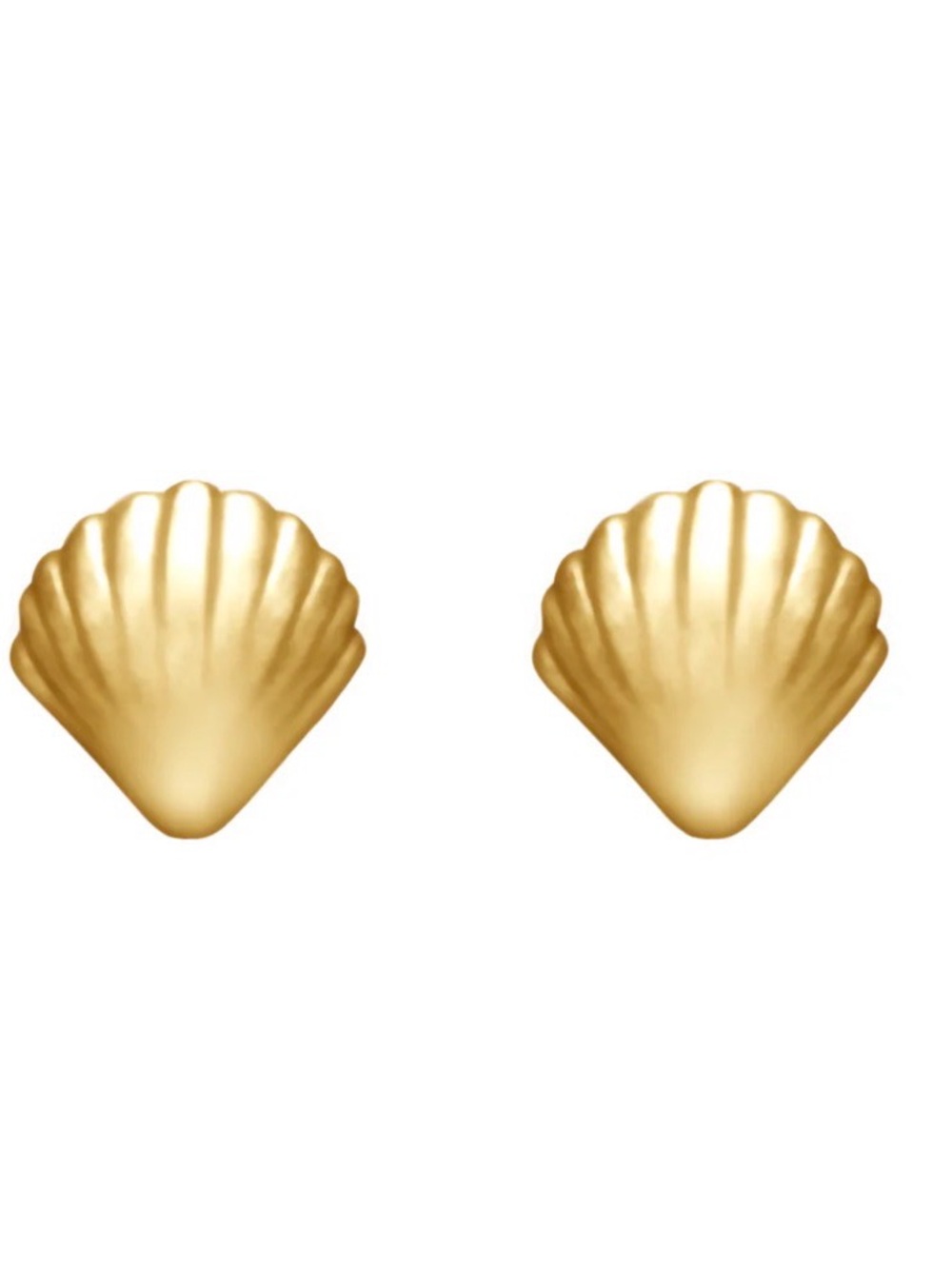 Mini Shell Stud Earrings